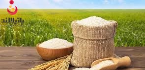 تجربه خرید برنج ایرانی و خارجی